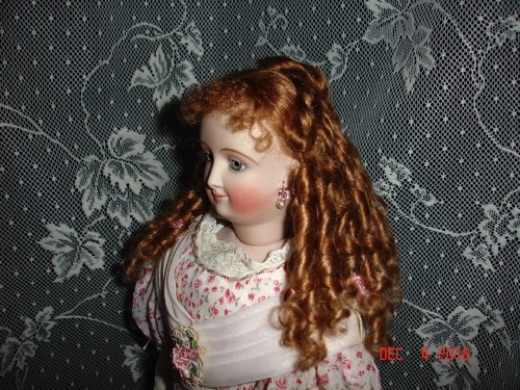 Braided Beauty Doll Wig